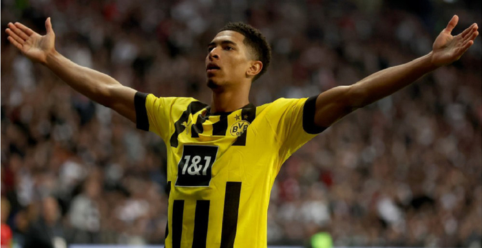 他们似乎已 他们似乎已