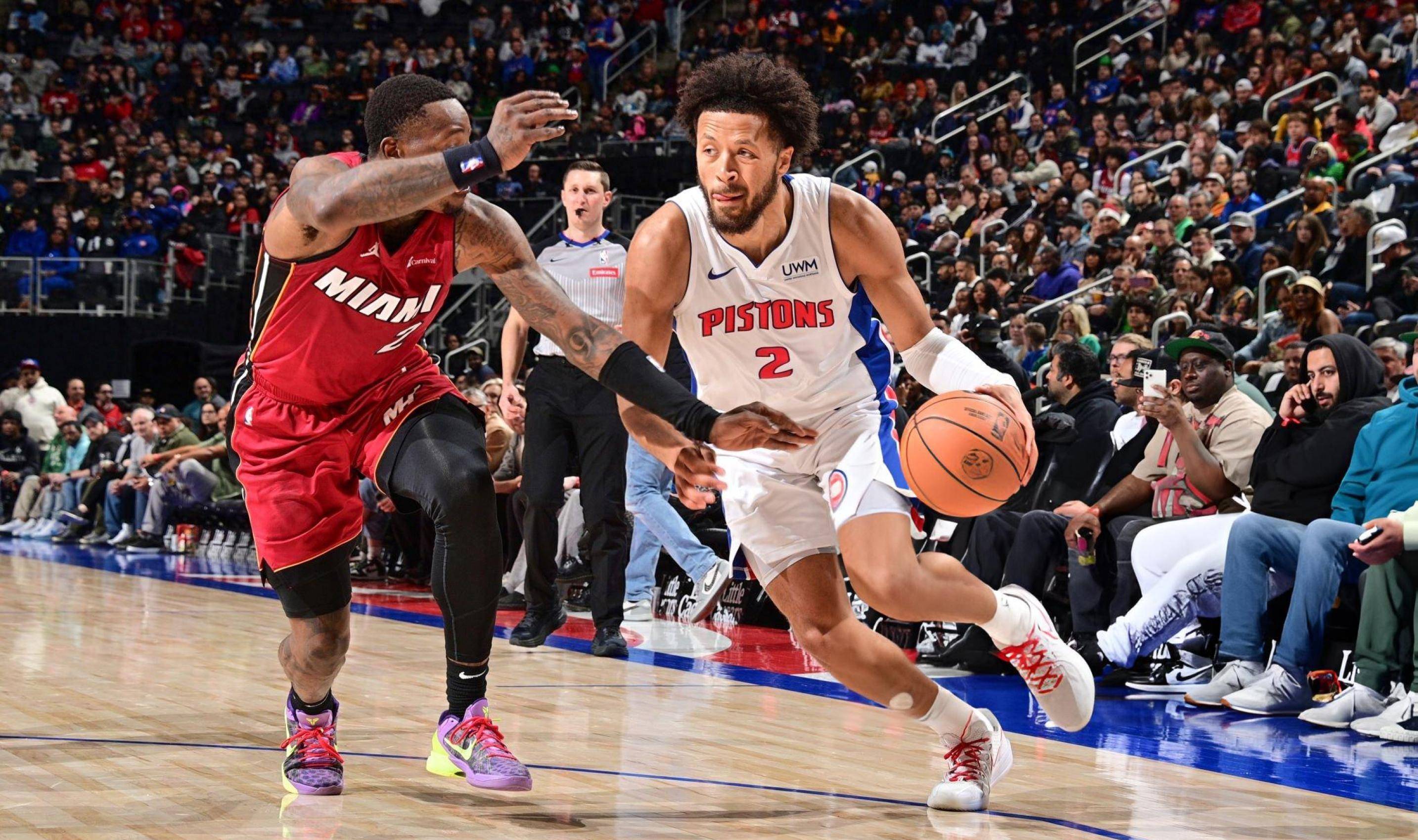 球迷的比较 球迷的比较