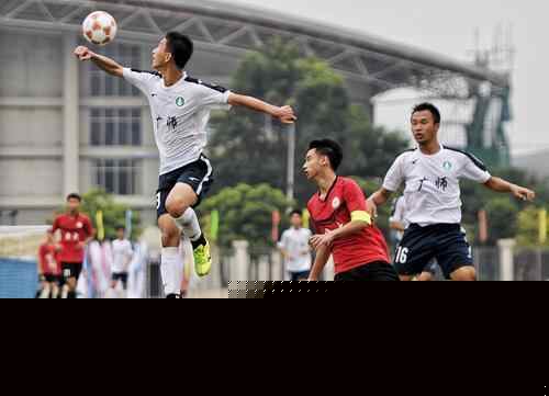 量与比赛执 量与比赛执